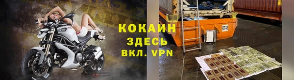 шишки Лабытнанги