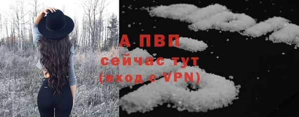 шишки Лабытнанги