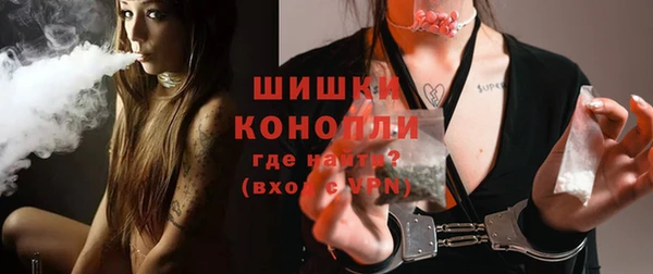 шишки Лабытнанги