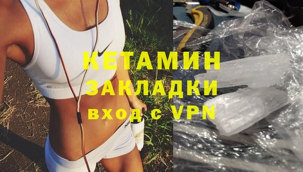 шишки Лабытнанги
