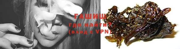 шишки Лабытнанги