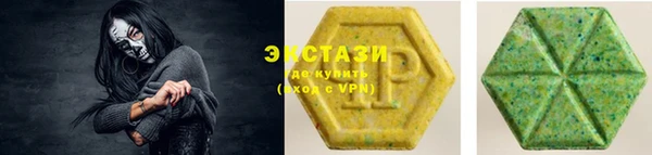 шишки Лабытнанги