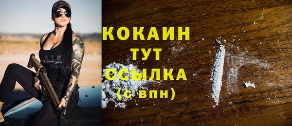 шишки Лабытнанги