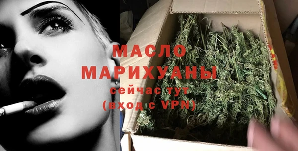шишки Лабытнанги