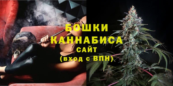 шишки Лабытнанги