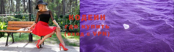 шишки Лабытнанги