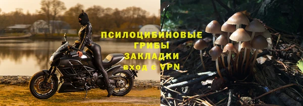 шишки Лабытнанги