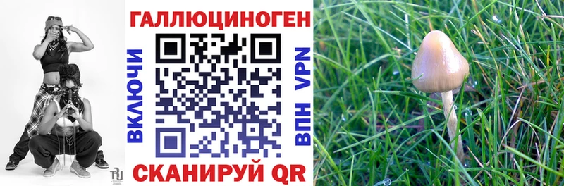 Купить закладки  Кологрив  Галлюциногенные грибы прущие грибы 